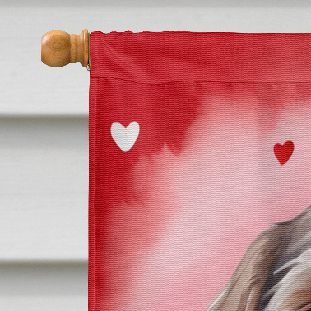 Wirehaired Pointing Griffon My Valentine House Flag 28x40 Porch Sleeve Pole Decorative Outside Yard Banner Artwork Wall Hanging, Polyester