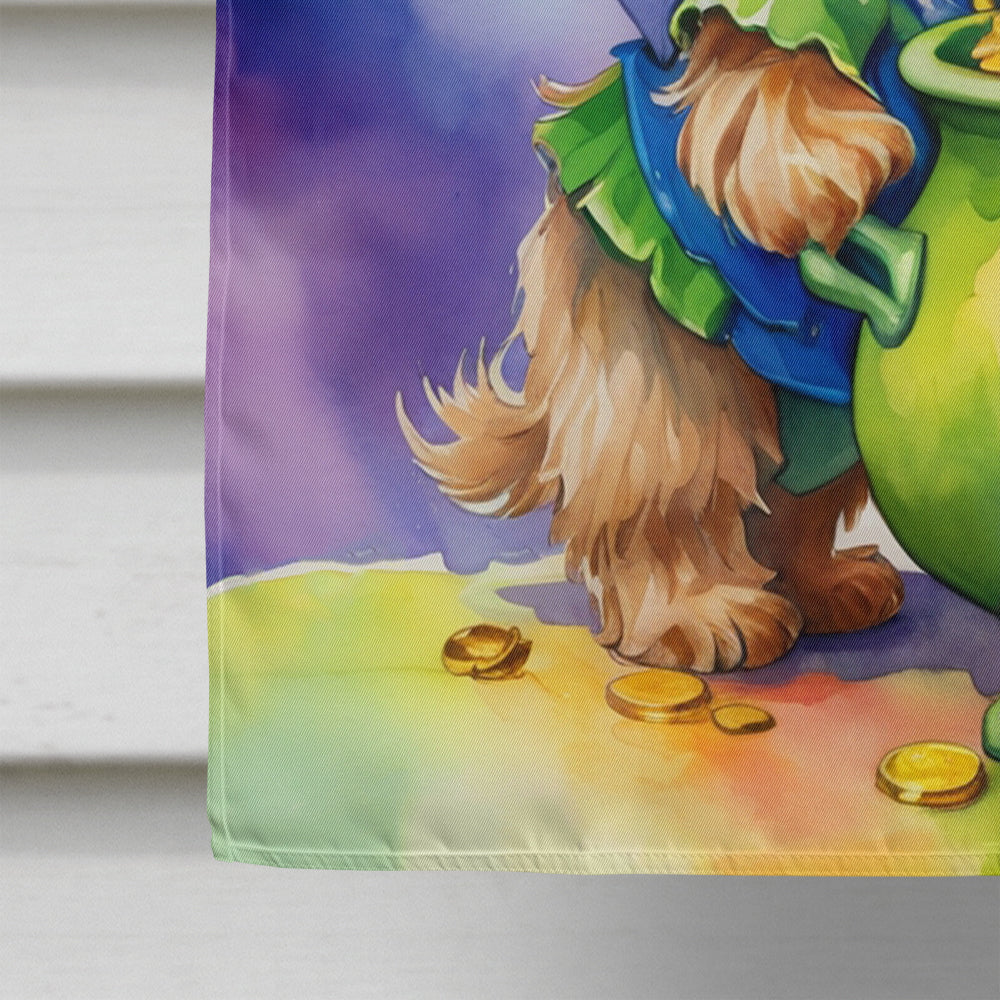 Brussels Griffon St Patrick's Day House Flag 28x40 Porch Sleeve Pole Decorative Outside Yard Banner Artwork Wall Hanging, Polyester