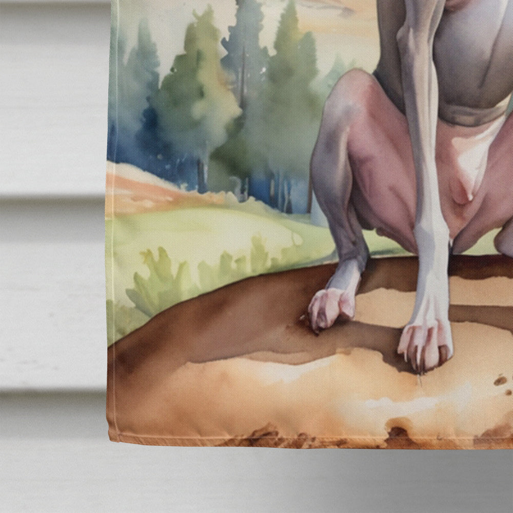 Italian Greyhound Cowboy Welcome House Flag 28x40 Porch Sleeve Pole Decorative Outside Yard Banner Artwork Wall Hanging, Polyester