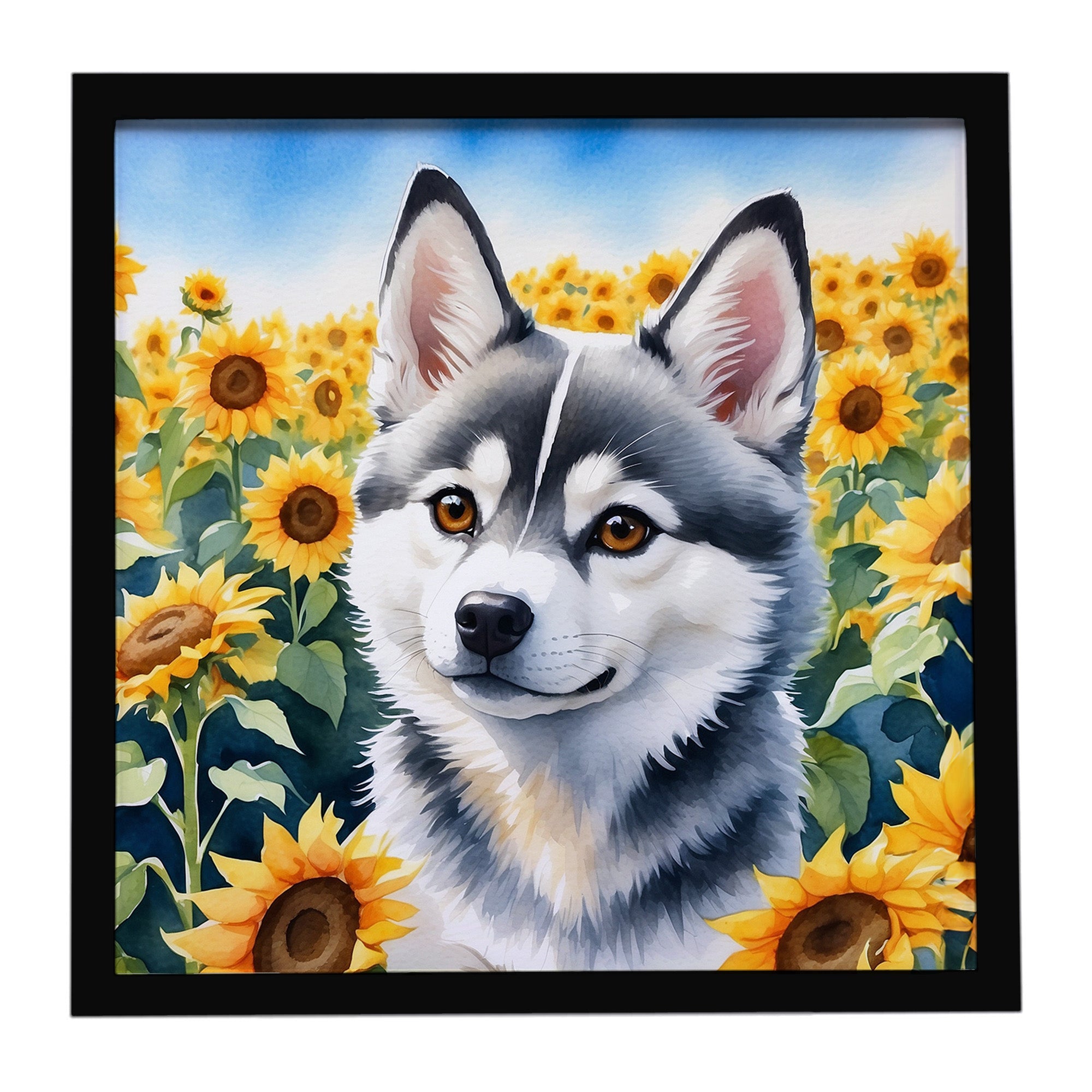 Alaskan Klee Kai in Sunflowers Framed Metal Print Bathroom, Kitchen, Office, Home Decor Wall Art Ready to Hang, Square, 8X8