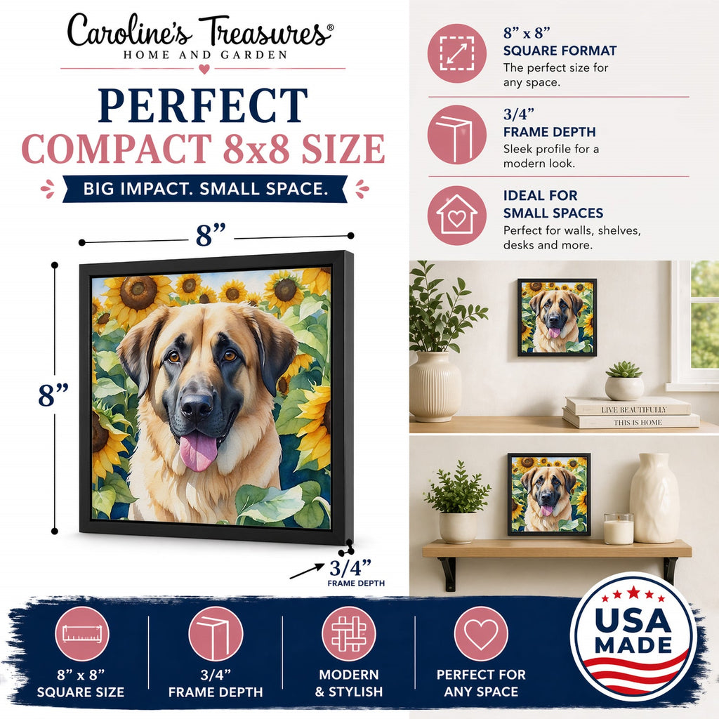 Anatolian Shepherd in Sunflowers Framed Metal Print Bathroom, Kitchen, Office, Home Decor Wall Art Ready to Hang, Square, 8X8