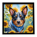 Australian Cattle Dog in Sunflowers Framed Metal Print Bathroom, Kitchen, Office, Home Decor Wall Art Ready to Hang, Square, 8X8