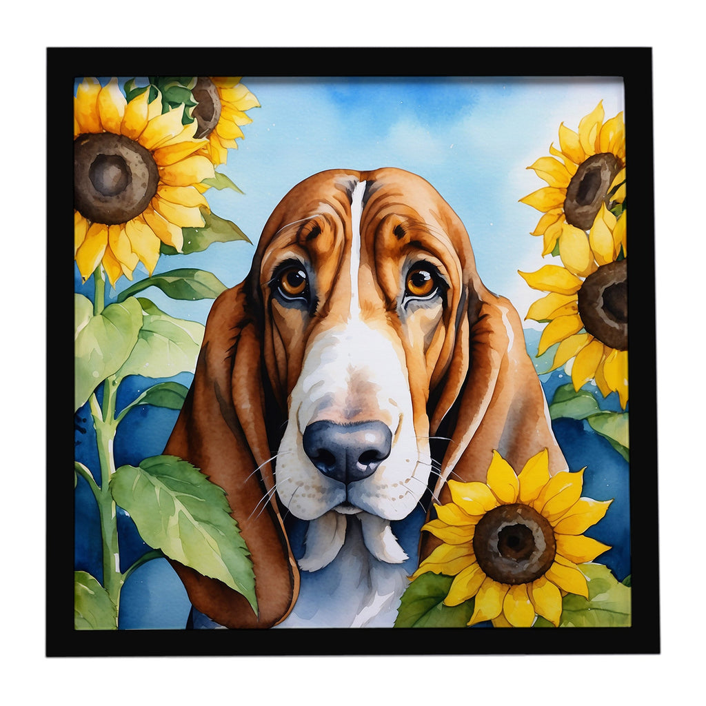 Basset Hound in Sunflowers Framed Metal Print Bathroom, Kitchen, Office, Home Decor Wall Art Ready to Hang, Square, 8X8