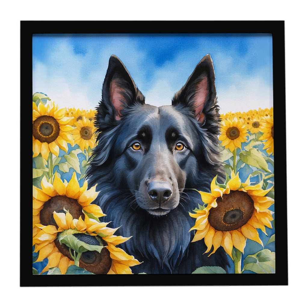 Belgian Sheepdog in Sunflowers Framed Metal Print Bathroom, Kitchen, Office, Home Decor Wall Art Ready to Hang, Square, 8X8