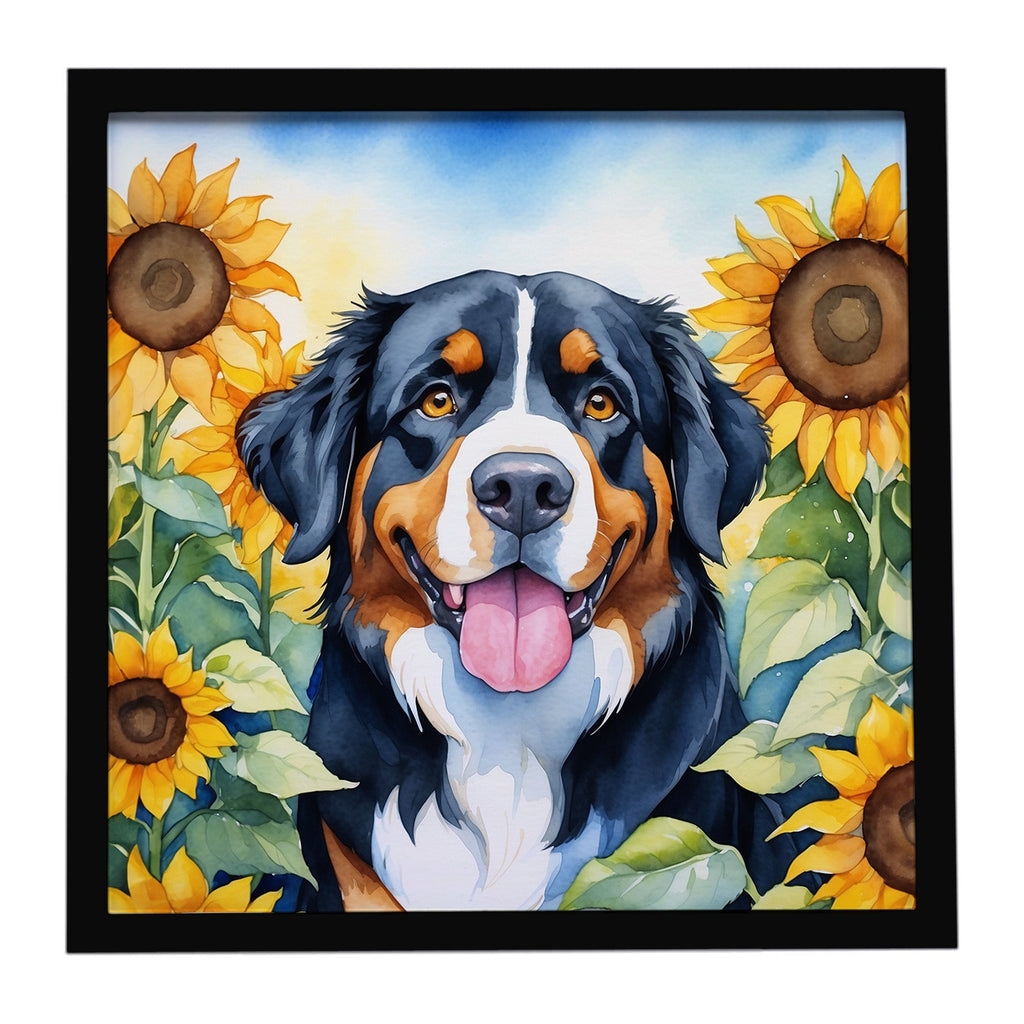 Bernese Mountain Dog in Sunflowers Framed Metal Print Bathroom, Kitchen, Office, Home Decor Wall Art Ready to Hang, Square, 8X8