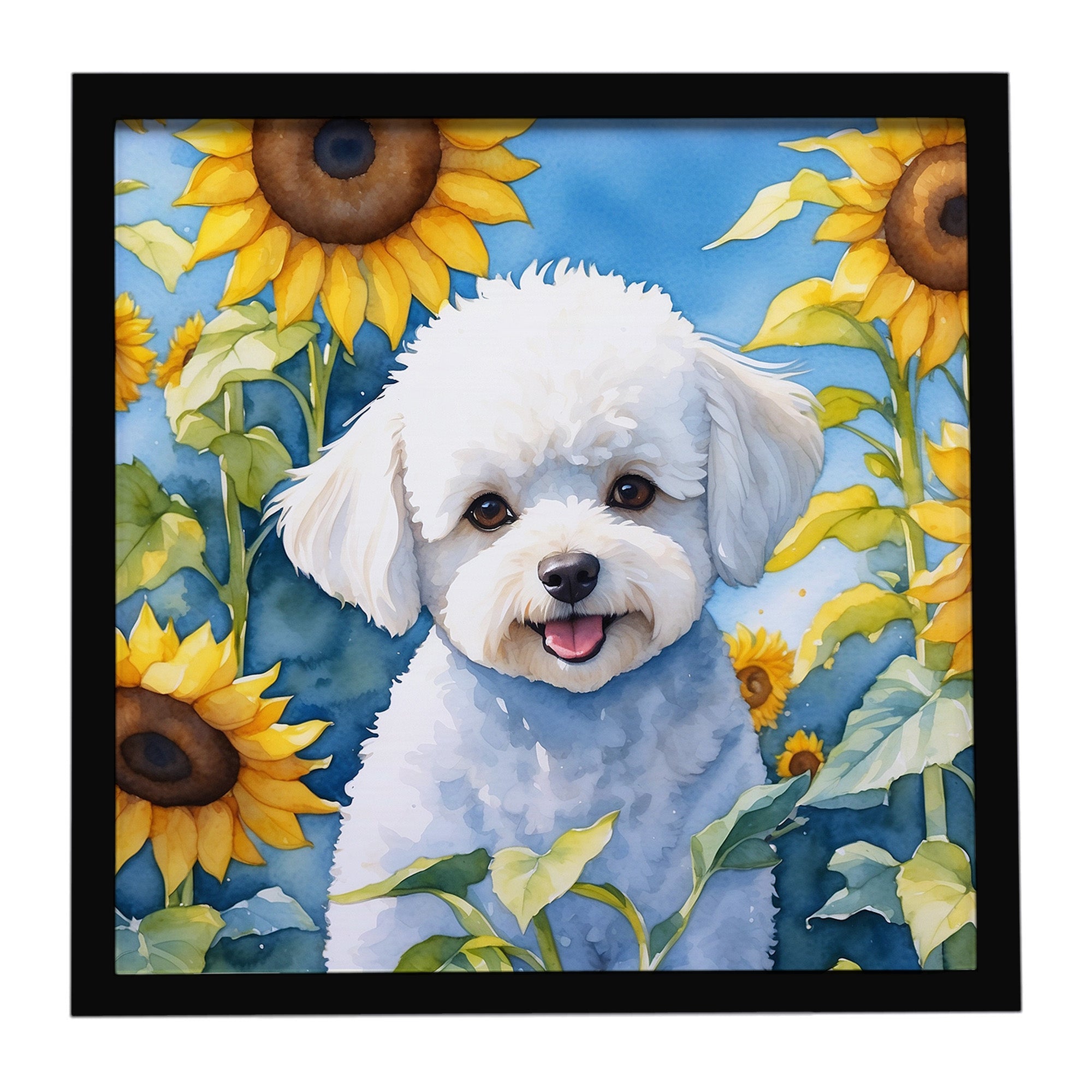 Bichon Frise in Sunflowers Framed Metal Print Bathroom, Kitchen, Office, Home Decor Wall Art Ready to Hang, Square, 8X8