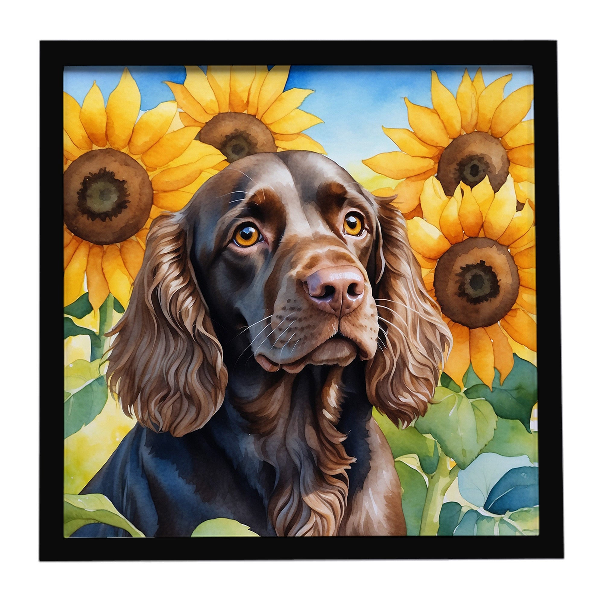 Boykin Spaniel in Sunflowers Framed Metal Print Bathroom, Kitchen, Office, Home Decor Wall Art Ready to Hang, Square, 8X8
