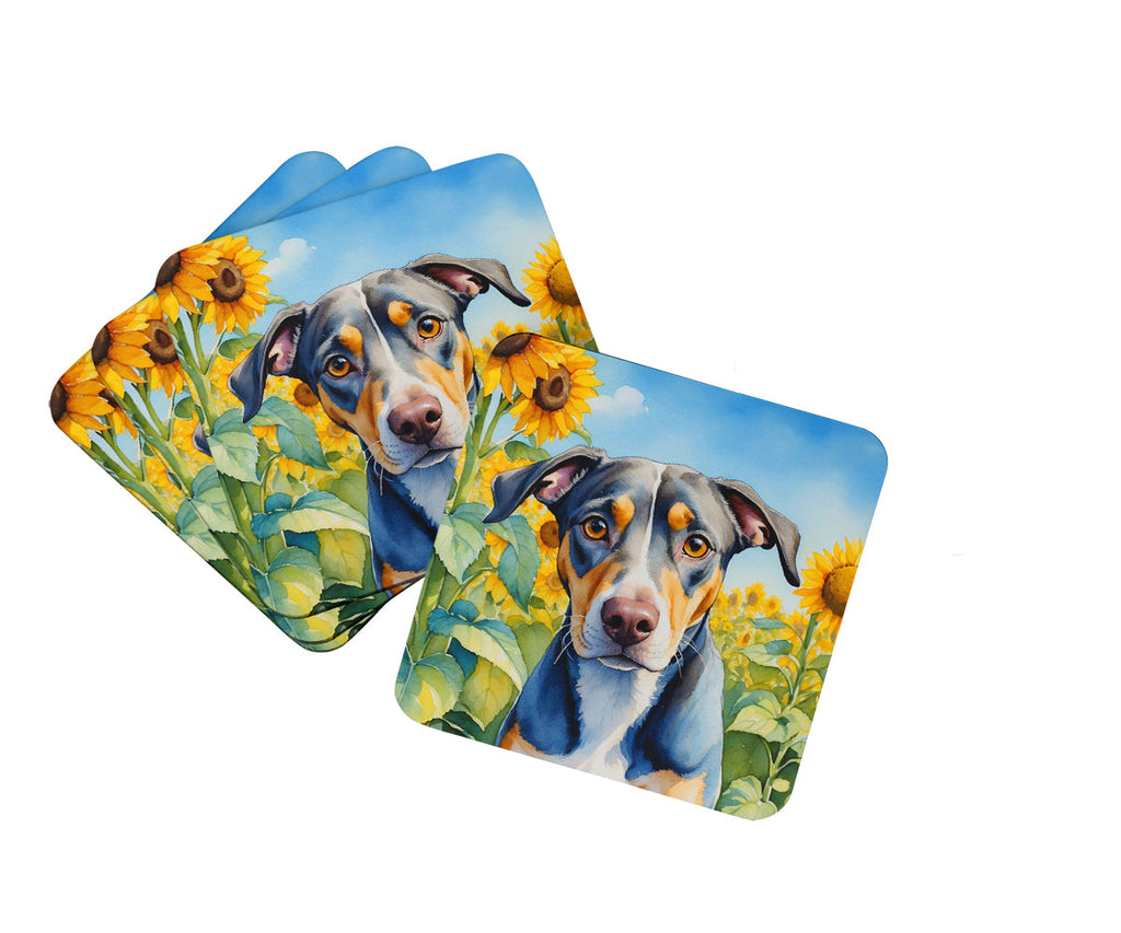 Catahoula in Sunflowers Foam Coasters Set of 4 Cup Coasters for Indoor Outdoor, Tabletop Protection, Anti Slip, Mouse pad Material