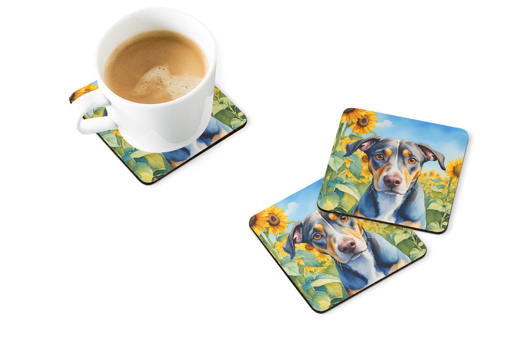 Catahoula in Sunflowers Foam Coasters Set of 4 Cup Coasters for Indoor Outdoor, Tabletop Protection, Anti Slip, Mouse pad Material