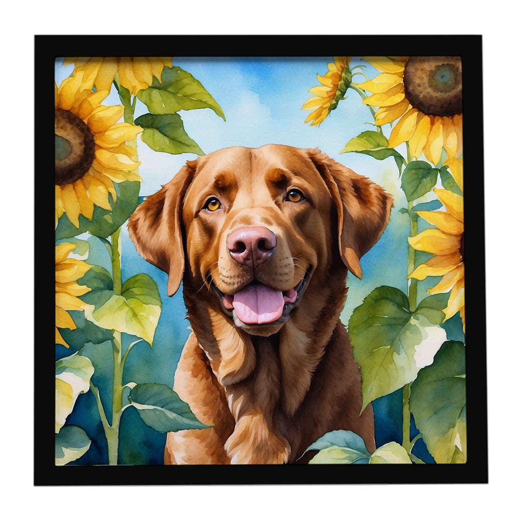 Chesapeake Bay Retriever in Sunflowers Framed Metal Print Bathroom, Kitchen, Office, Home Decor Wall Art Ready to Hang, Square, 8X8