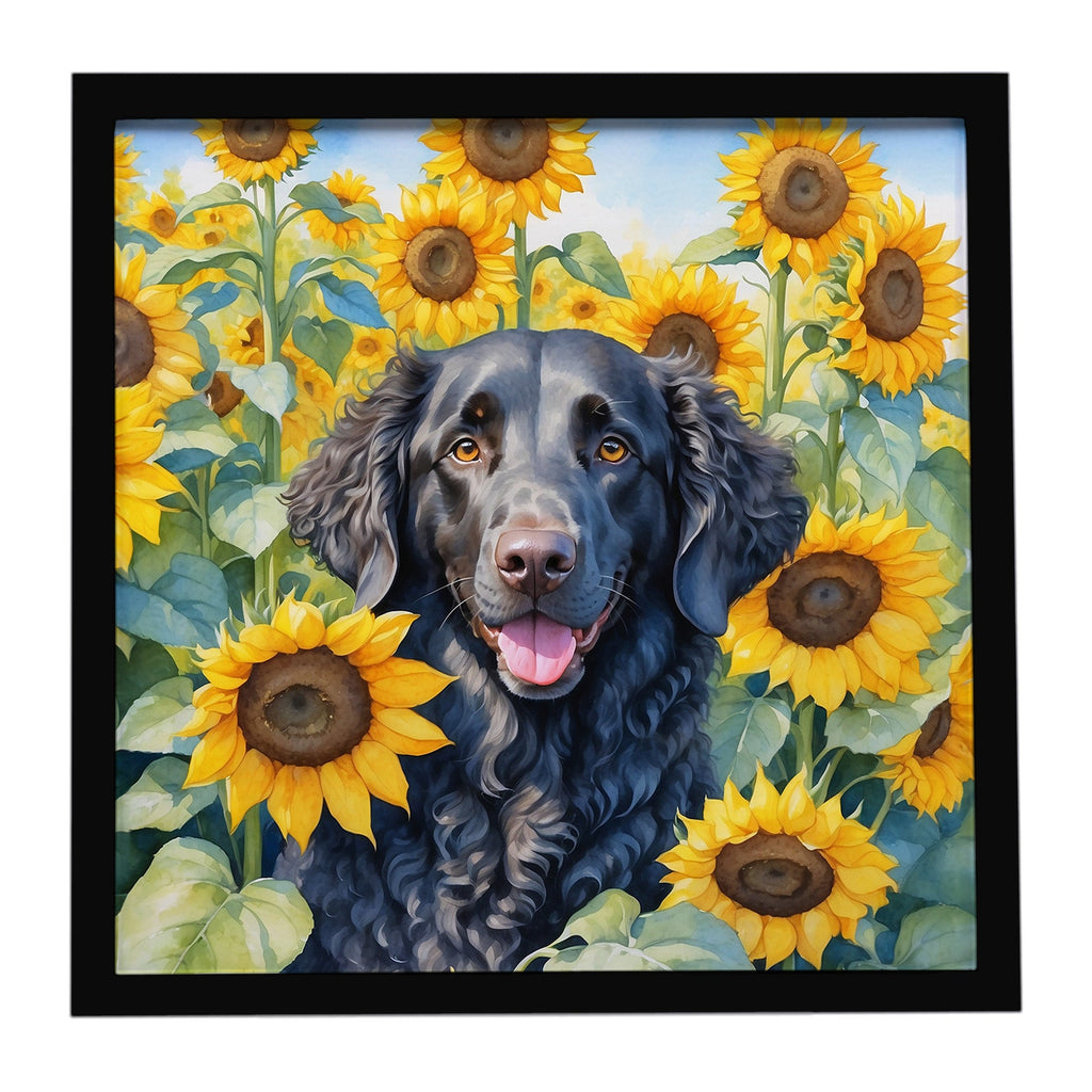 Curly-Coated Retriever in Sunflowers Framed Metal Print Bathroom, Kitchen, Office, Home Decor Wall Art Ready to Hang, Square, 8X8