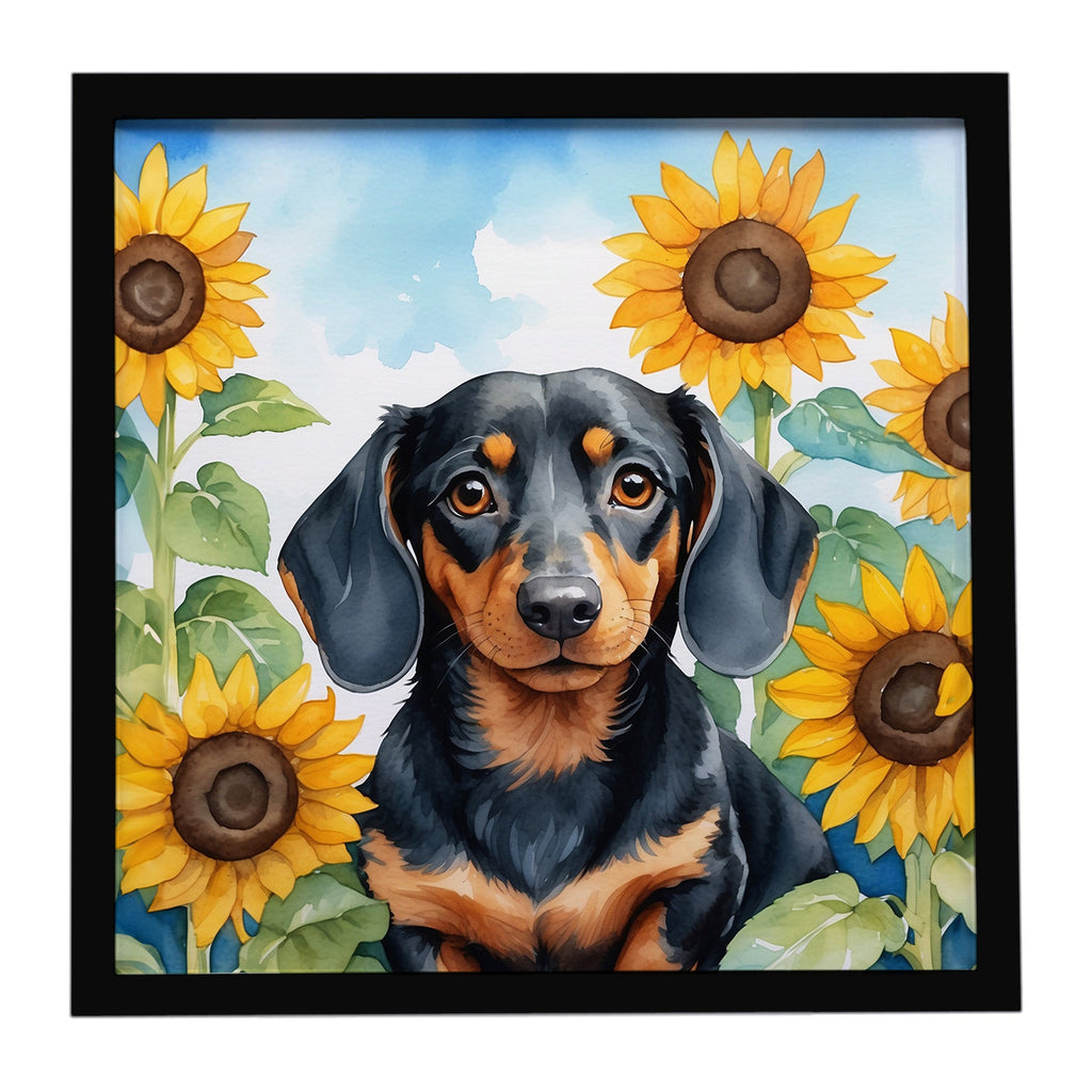 Dachshund in Sunflowers Framed Metal Print Bathroom, Kitchen, Office, Home Decor Wall Art Ready to Hang, Square, 8X8