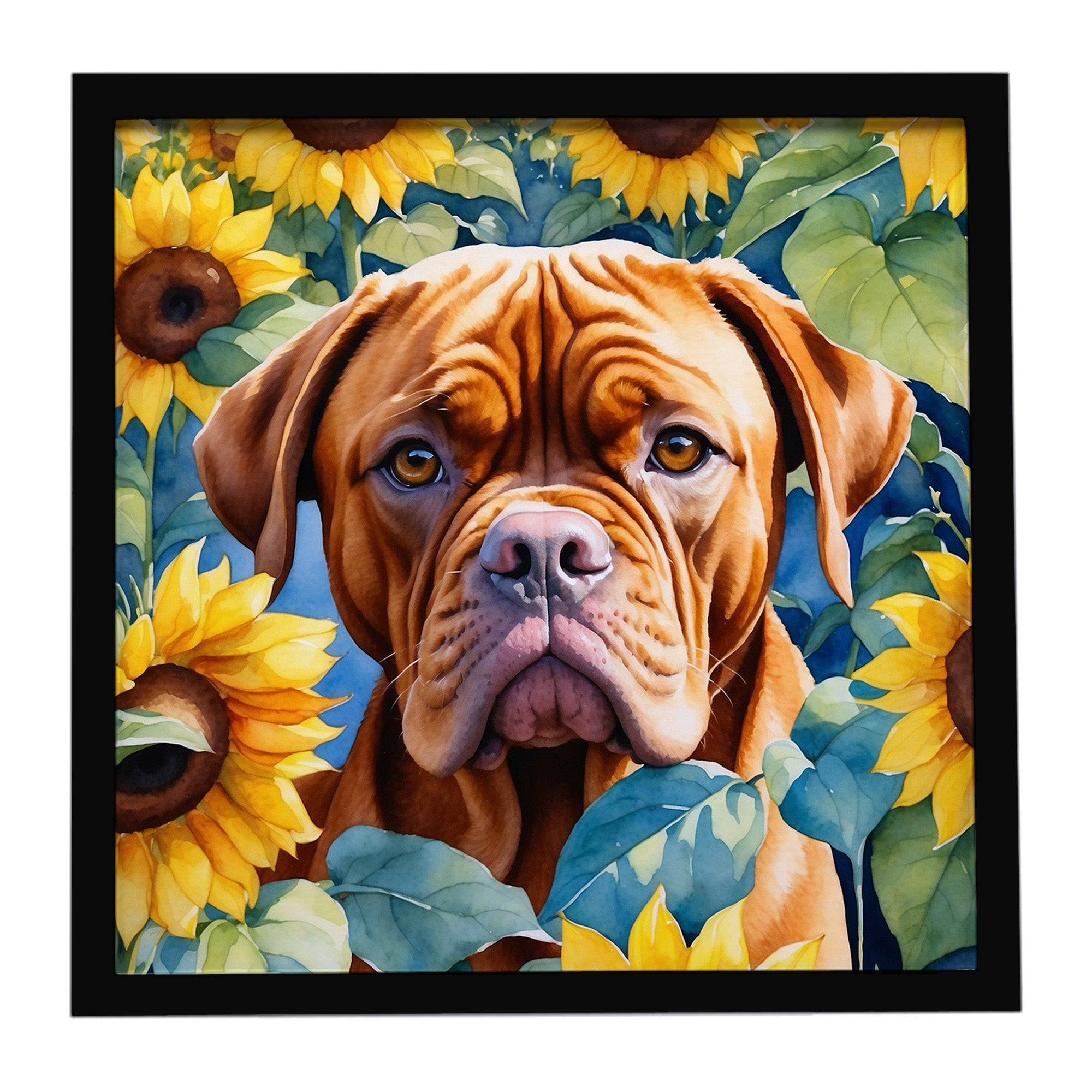 Dogue de Bordeaux in Sunflowers Framed Metal Print Bathroom, Kitchen, Office, Home Decor Wall Art Ready to Hang, Square, 8X8