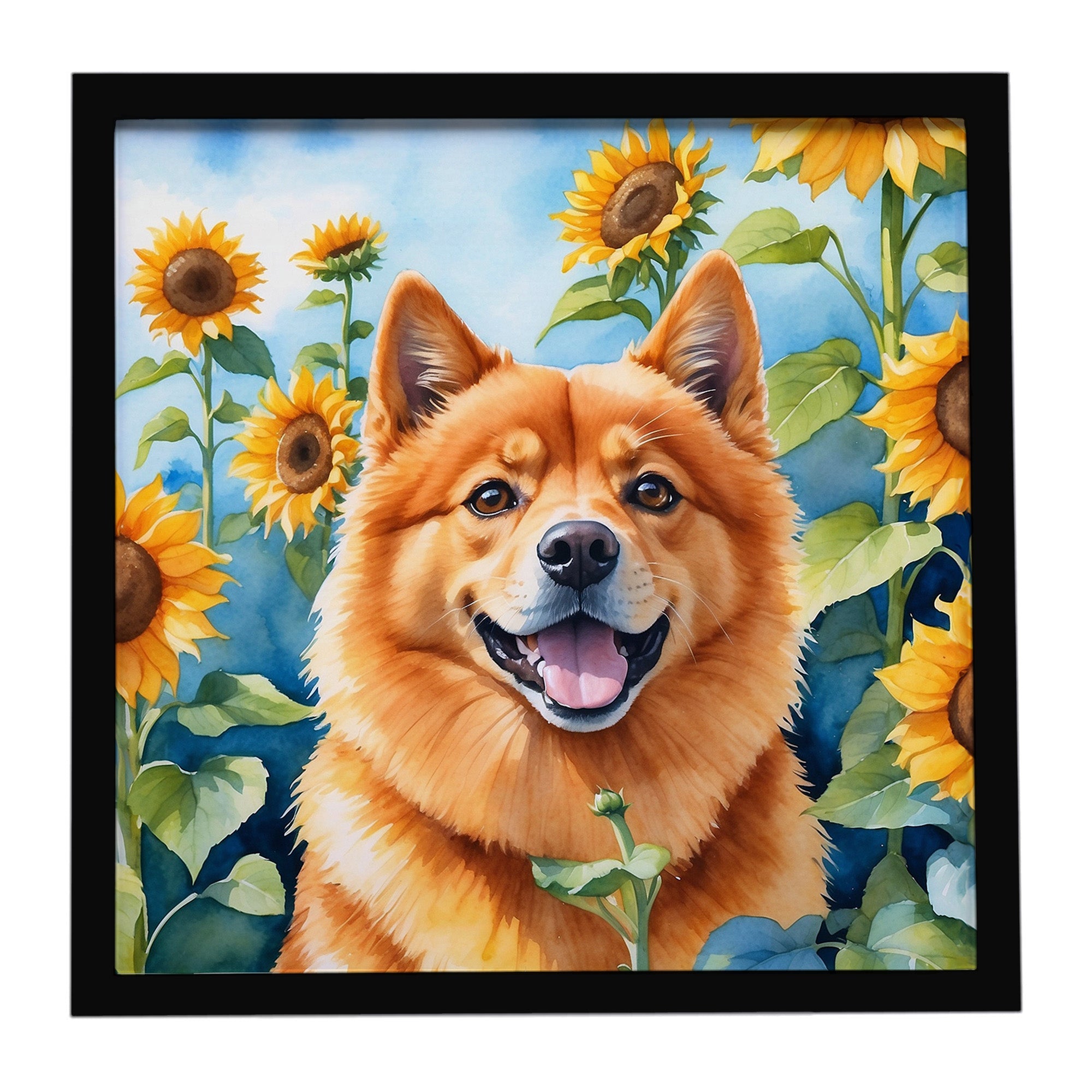 Finnish Spitz in Sunflowers Framed Metal Print Bathroom, Kitchen, Office, Home Decor Wall Art Ready to Hang, Square, 8X8