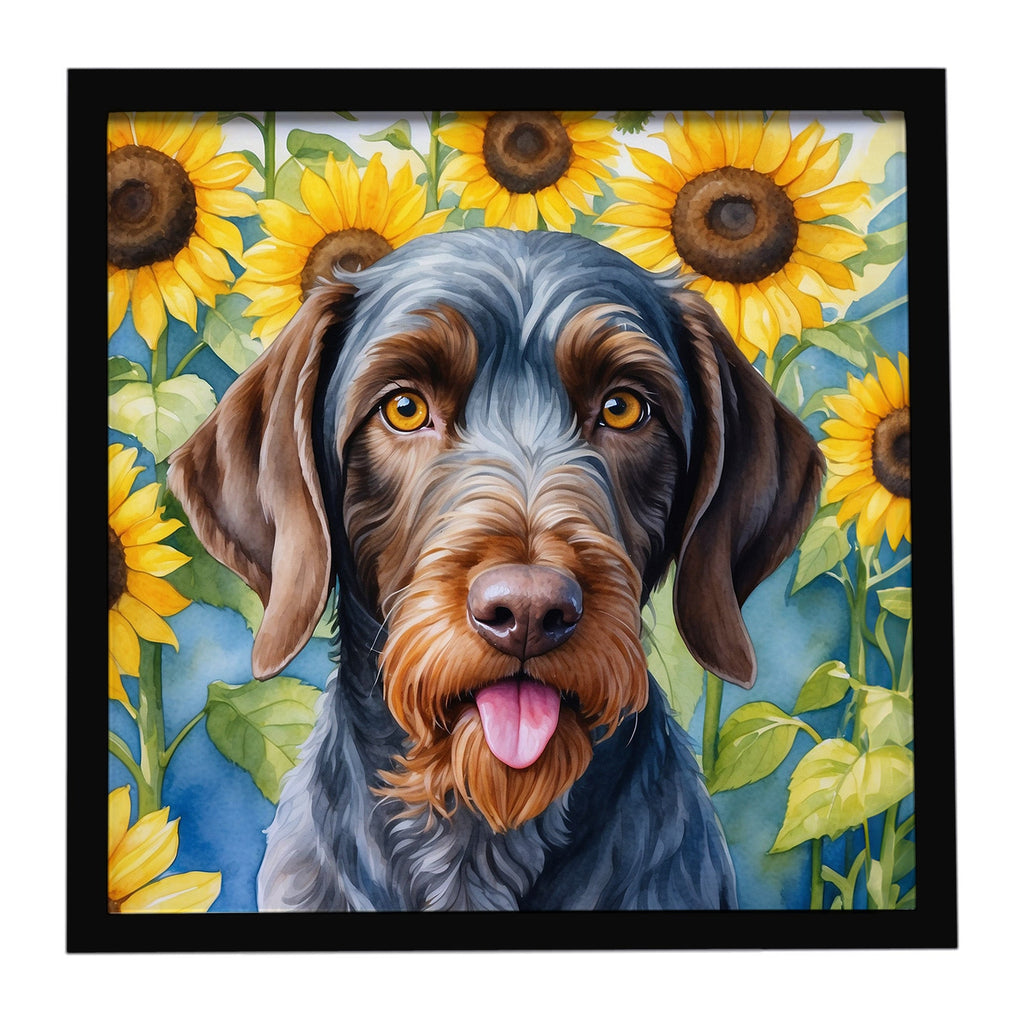 German Wirehaired Pointer in Sunflowers Framed Metal Print Bathroom, Kitchen, Office, Home Decor Wall Art Ready to Hang, Square, 8X8