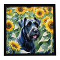 Giant Schnauzer in Sunflowers Framed Metal Print Bathroom, Kitchen, Office, Home Decor Wall Art Ready to Hang, Square, 8X8