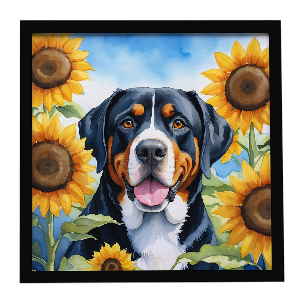 Greater Swiss Mountain Dog in Sunflowers Framed Metal Print Bathroom, Kitchen, Office, Home Decor Wall Art Ready to Hang, Square, 8X8