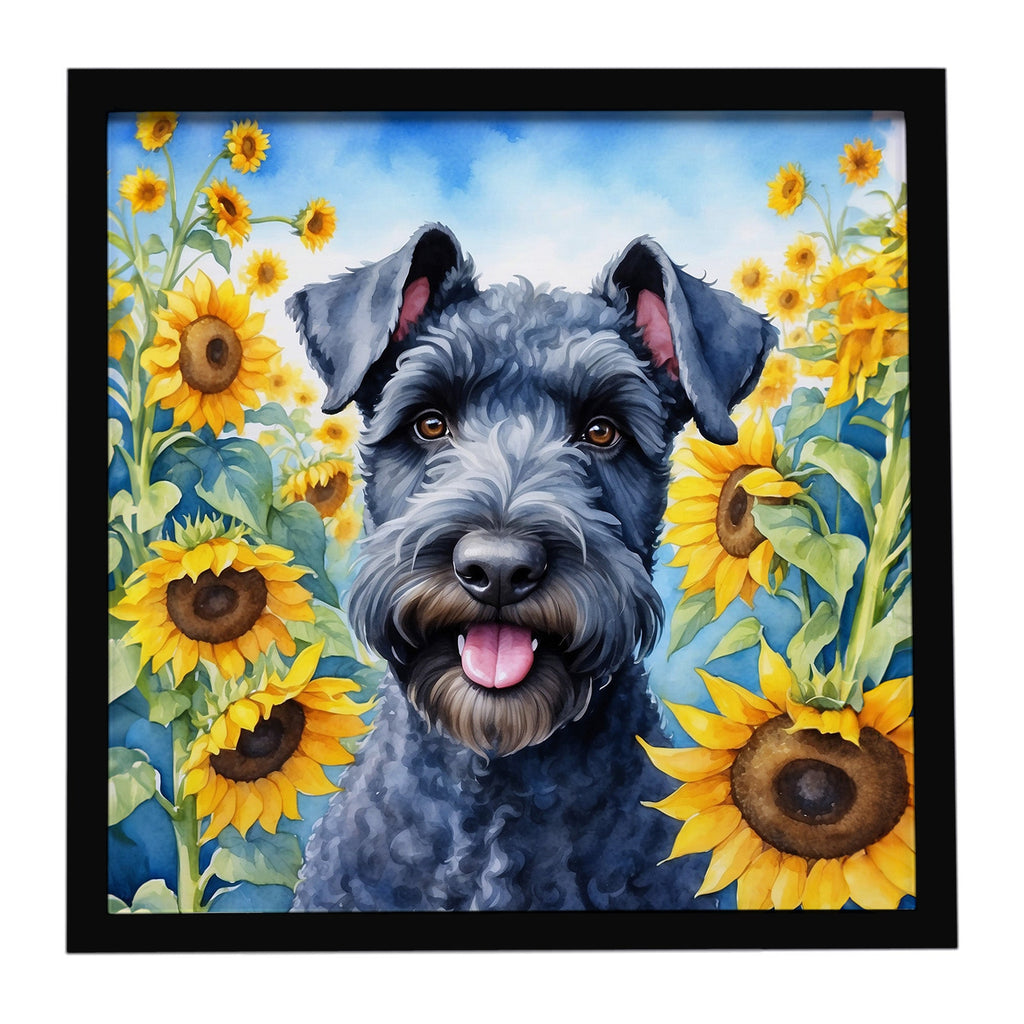 Kerry Blue Terrier in Sunflowers Framed Metal Print Bathroom, Kitchen, Office, Home Decor Wall Art Ready to Hang, Square, 8X8
