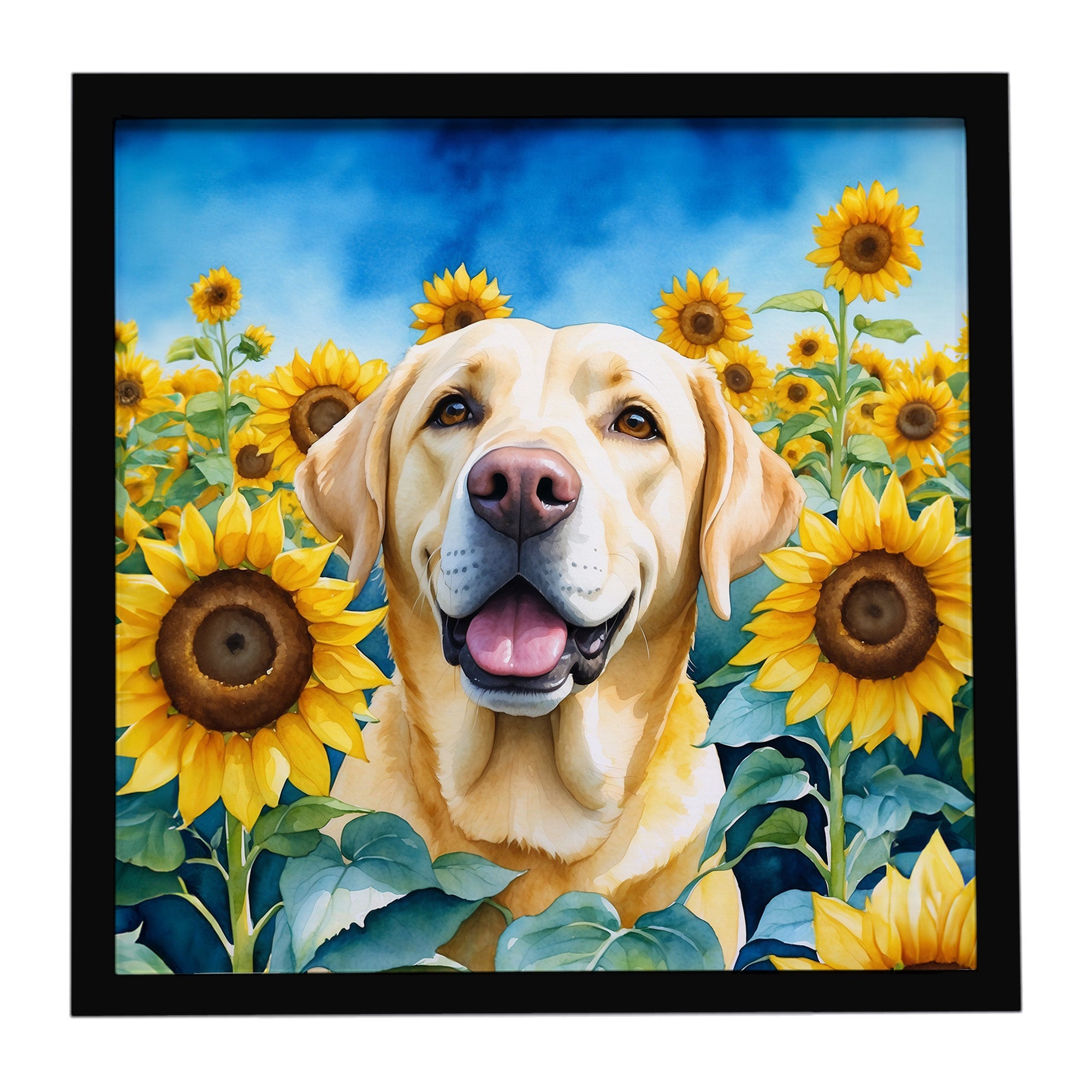 Labrador Retriever in Sunflowers Framed Metal Print Bathroom, Kitchen, Office, Home Decor Wall Art Ready to Hang, Square, 8X8