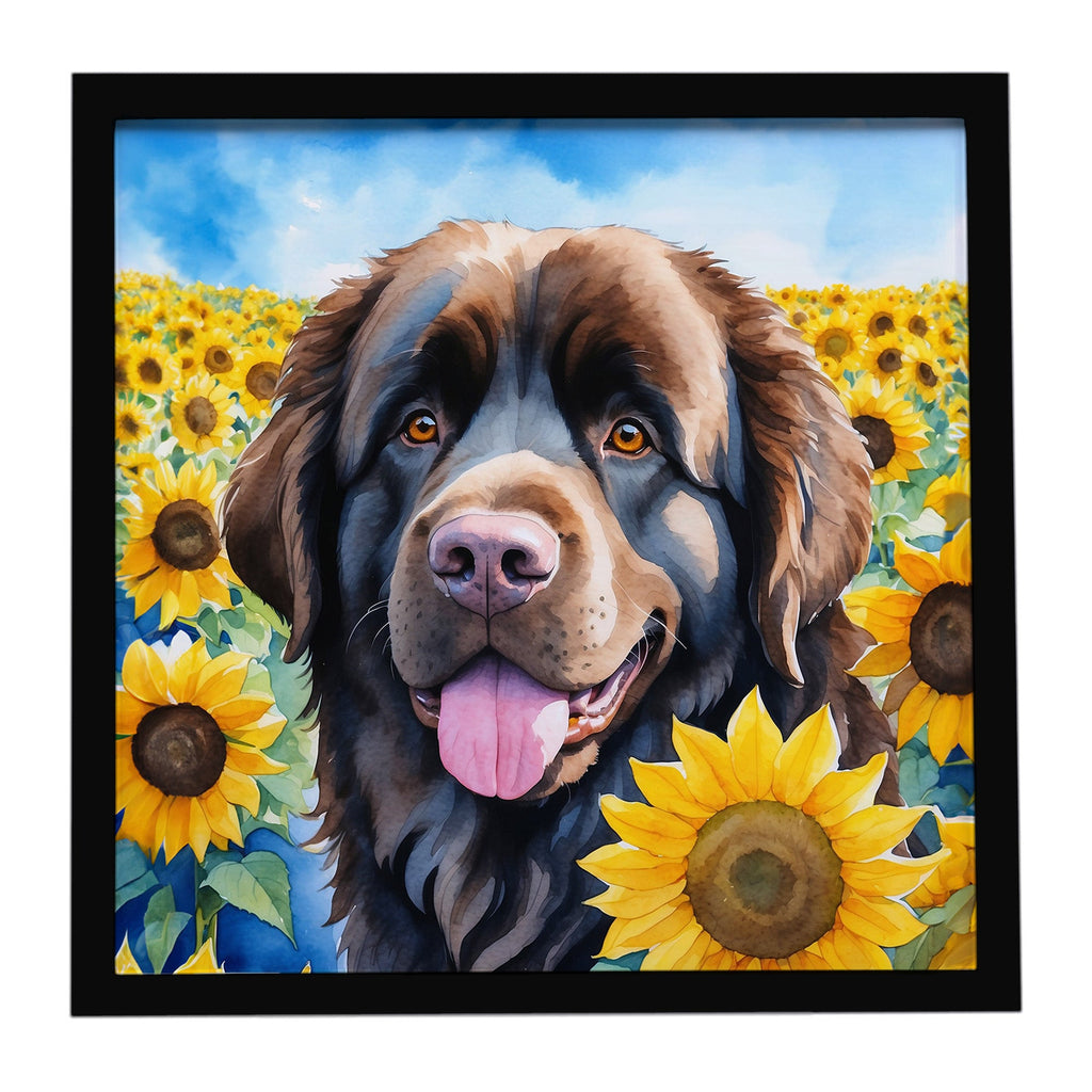 Newfoundland in Sunflowers Framed Metal Print Bathroom, Kitchen, Office, Home Decor Wall Art Ready to Hang, Square, 8X8