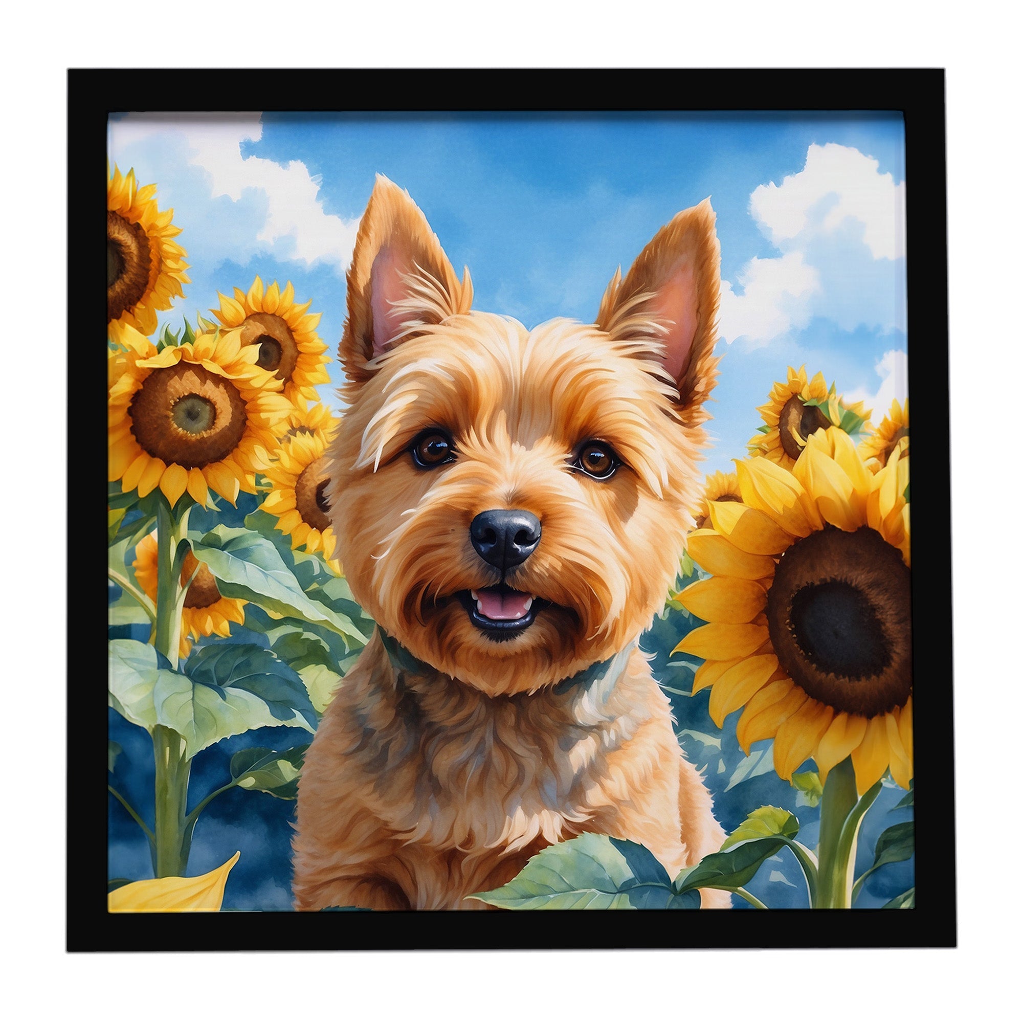 Norwich Terrier in Sunflowers Framed Metal Print Bathroom, Kitchen, Office, Home Decor Wall Art Ready to Hang, Square, 8X8