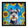 Schnauzer in Sunflowers Framed Metal Print Bathroom, Kitchen, Office, Home Decor Wall Art Ready to Hang, Square, 8X8