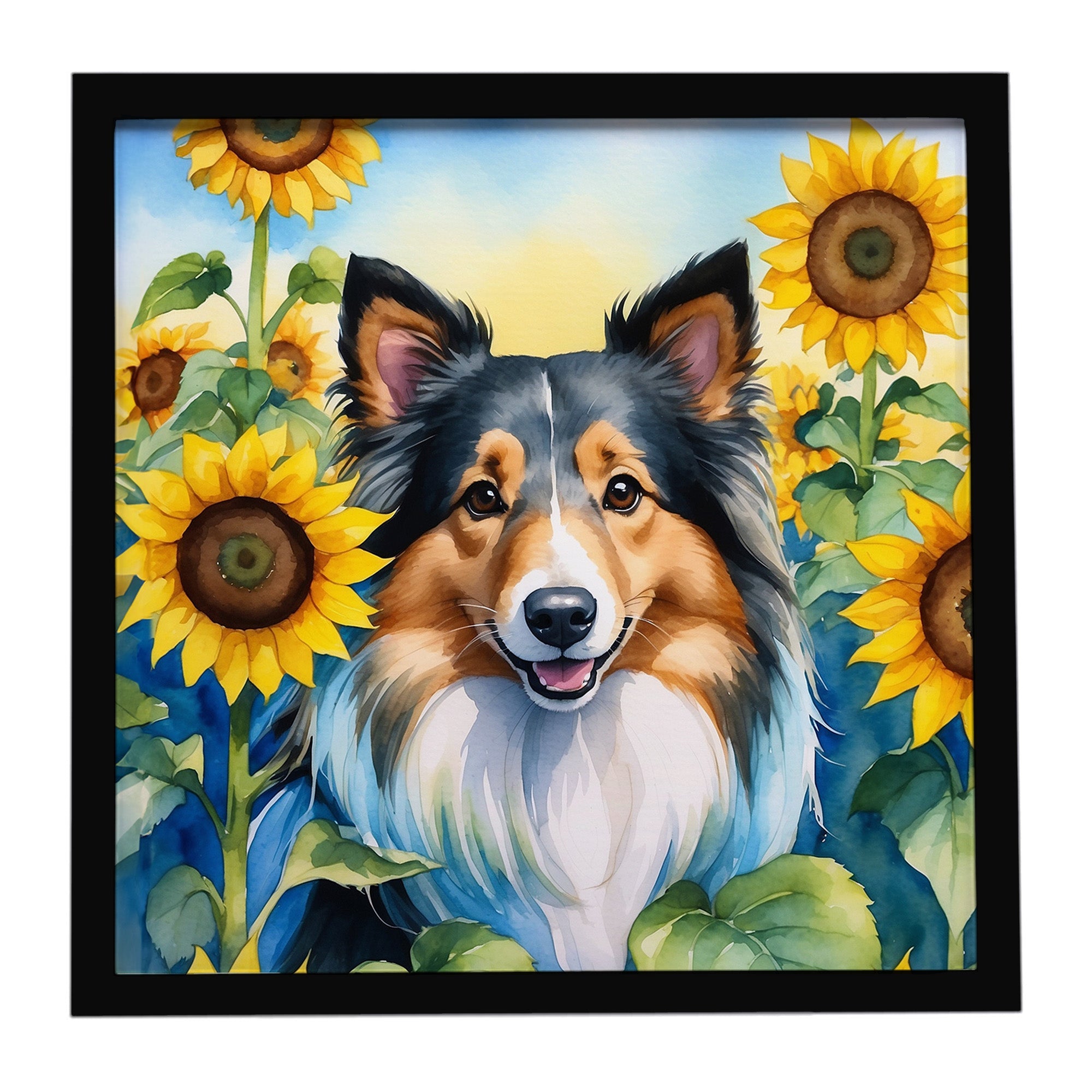 Sheltie in Sunflowers Framed Metal Print Bathroom, Kitchen, Office, Home Decor Wall Art Ready to Hang, Square, 8X8