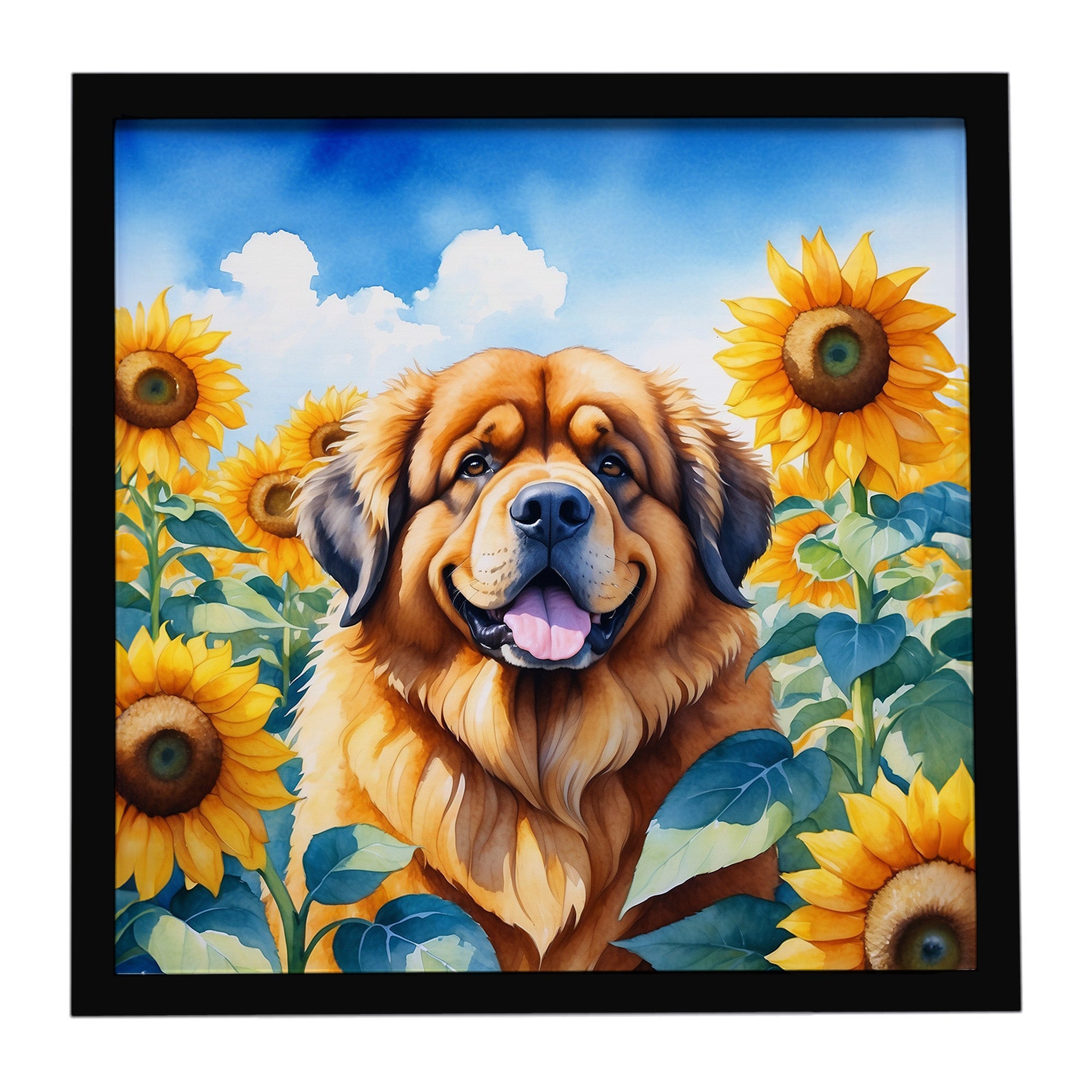 Tibetan Mastiff in Sunflowers Framed Metal Print Bathroom, Kitchen, Office, Home Decor Wall Art Ready to Hang, Square, 8X8
