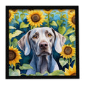Weimaraner in Sunflowers Framed Metal Print Bathroom, Kitchen, Office, Home Decor Wall Art Ready to Hang, Square, 8X8