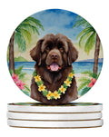 Newfoundland Luau Large Sandstone Coasters Pack of 4 Absorbent Round Coasters Decor Gifts for Men or Women, 4 in, Multicolor