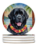 Newfoundland Luau Large Sandstone Coasters Pack of 4 Absorbent Round Coasters Decor Gifts for Men or Women, 4 in, Multicolor