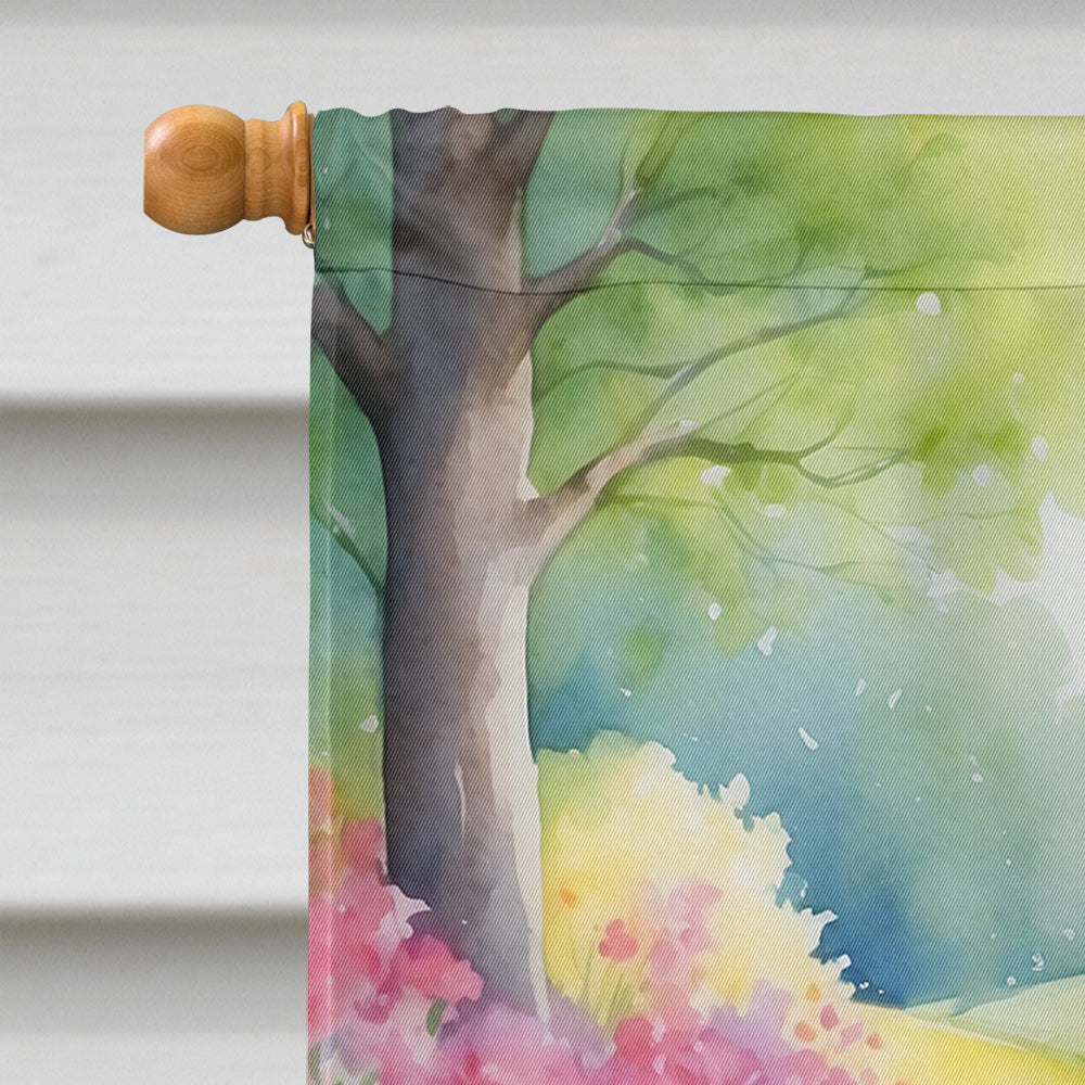 Border Collie Spring Path House Flag 28x40 Porch Sleeve Pole Decorative Outside Yard Banner Artwork Wall Hanging, Polyester
