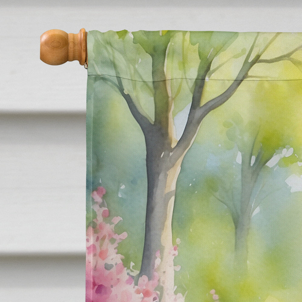 Boston Terrier Spring Path House Flag 28x40 Porch Sleeve Pole Decorative Outside Yard Banner Artwork Wall Hanging, Polyester