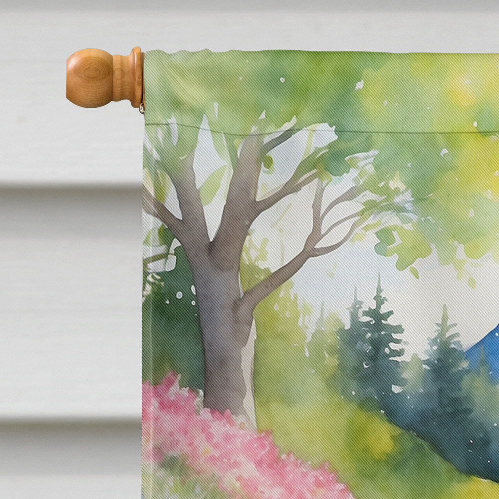 Greater Swiss Mountain Dog Spring Path House Flag 28x40 Porch Sleeve Pole Decorative Outside Yard Banner Artwork Wall Hanging, Polyester