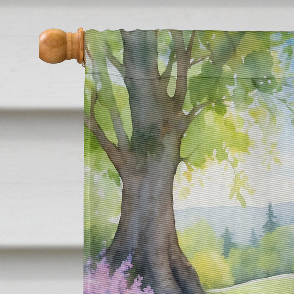 Irish Setter Spring Path House Flag 28x40 Porch Sleeve Pole Decorative Outside Yard Banner Artwork Wall Hanging, Polyester