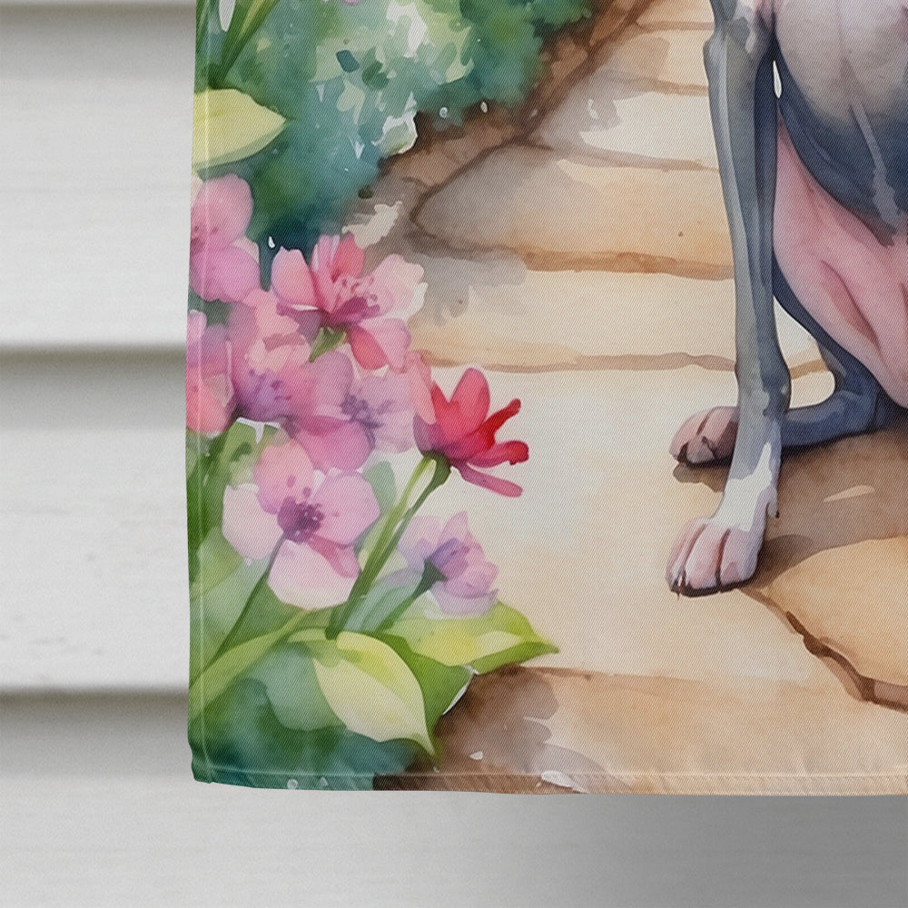 Italian Greyhound Spring Path House Flag 28x40 Porch Sleeve Pole Decorative Outside Yard Banner Artwork Wall Hanging, Polyester