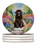 Newfoundland Spring Path Large Sandstone Coasters Pack of 4 Absorbent Round Coasters Decor Gifts for Men or Women, 4 in, Multicolor