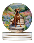 Rhodesian Ridgeback Spring Path Large Sandstone Coasters Pack of 4 Absorbent Round Coasters Decor Gifts for Men or Women, 4 in, Multicolor
