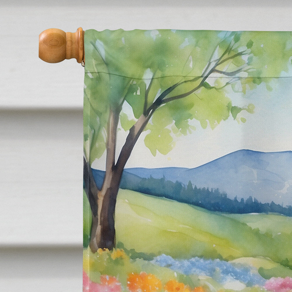 Saint Bernard Spring Path House Flag 28x40 Porch Sleeve Pole Decorative Outside Yard Banner Artwork Wall Hanging, Polyester