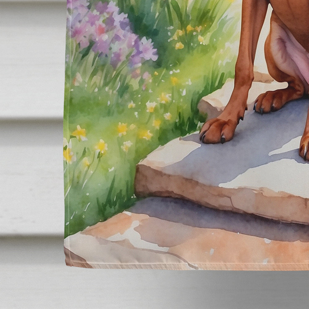 Vizsla Spring Path House Flag 28x40 Porch Sleeve Pole Decorative Outside Yard Banner Artwork Wall Hanging, Polyester