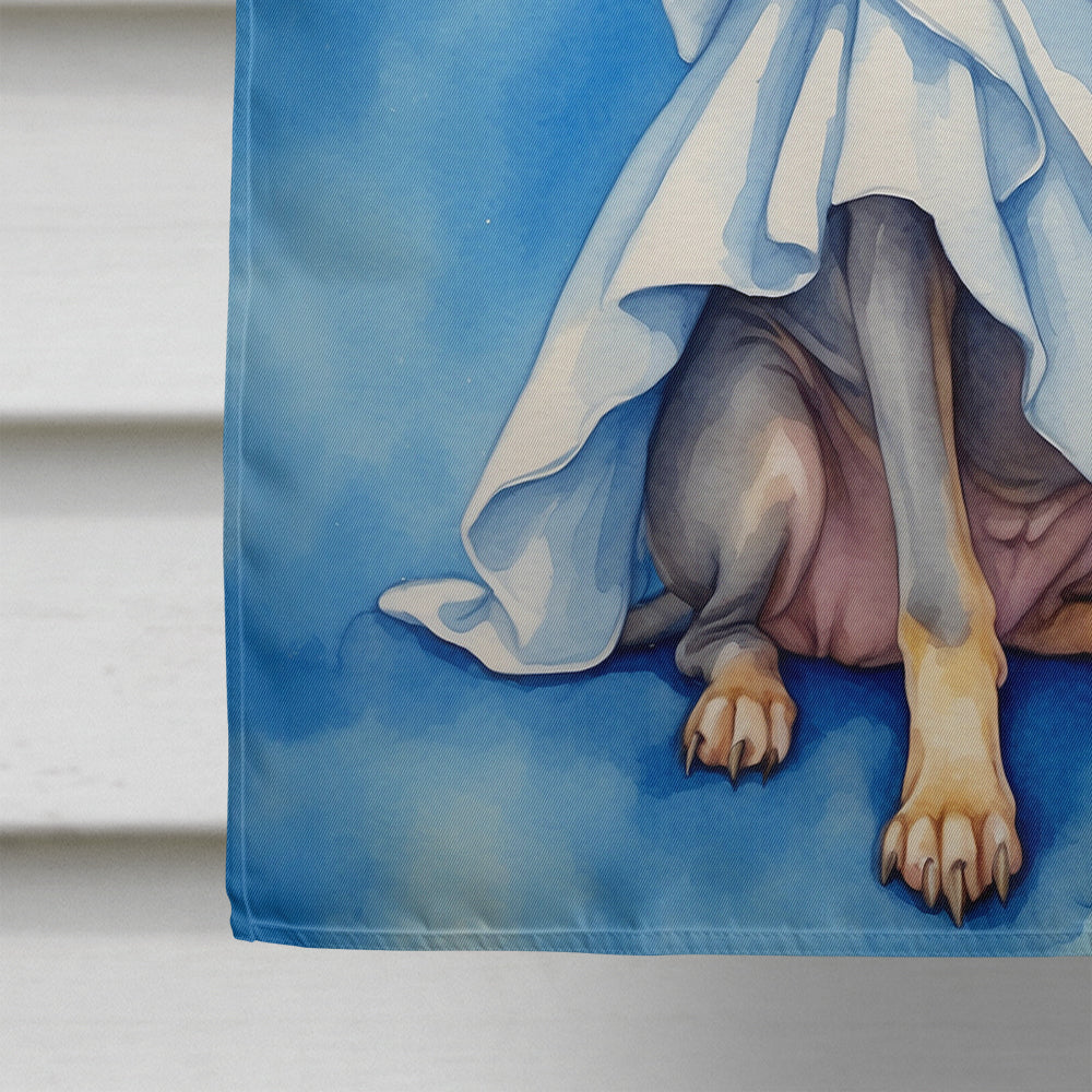American Hairless Terrier My Angel House Flag 28x40 Porch Sleeve Pole Decorative Outside Yard Banner Artwork Wall Hanging, Polyester