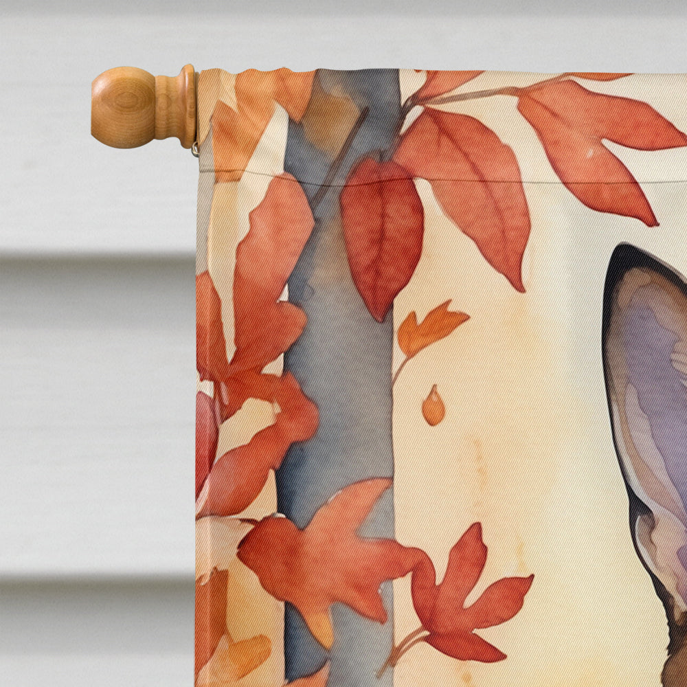 Abyssinian Cat in Fall Leaves House Flag 28x40 Porch Sleeve Pole Decorative Outside Yard Banner Artwork Wall Hanging, Polyester