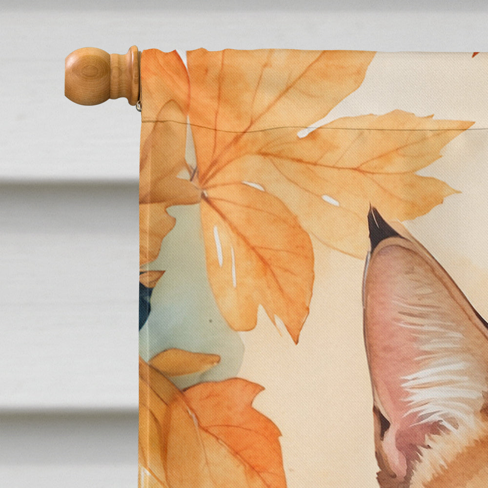 Aegean Cat in Fall Leaves House Flag 28x40 Porch Sleeve Pole Decorative Outside Yard Banner Artwork Wall Hanging, Polyester