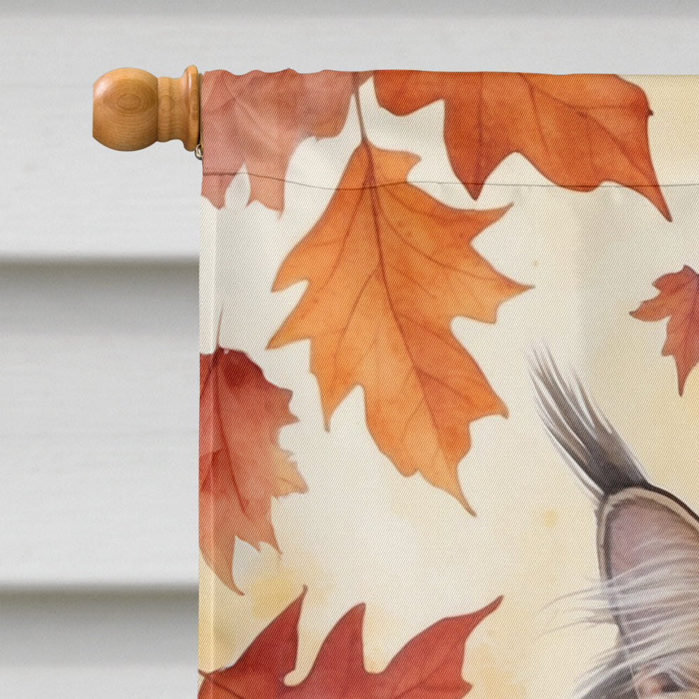British Longhair Cat in Fall Leaves House Flag 28x40 Porch Sleeve Pole Decorative Outside Yard Banner Artwork Wall Hanging, Polyester