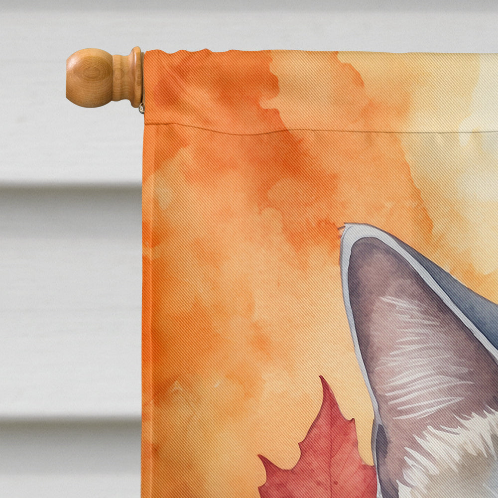 British Shorthair Cat in Fall Leaves House Flag 28x40 Porch Sleeve Pole Decorative Outside Yard Banner Artwork Wall Hanging, Polyester