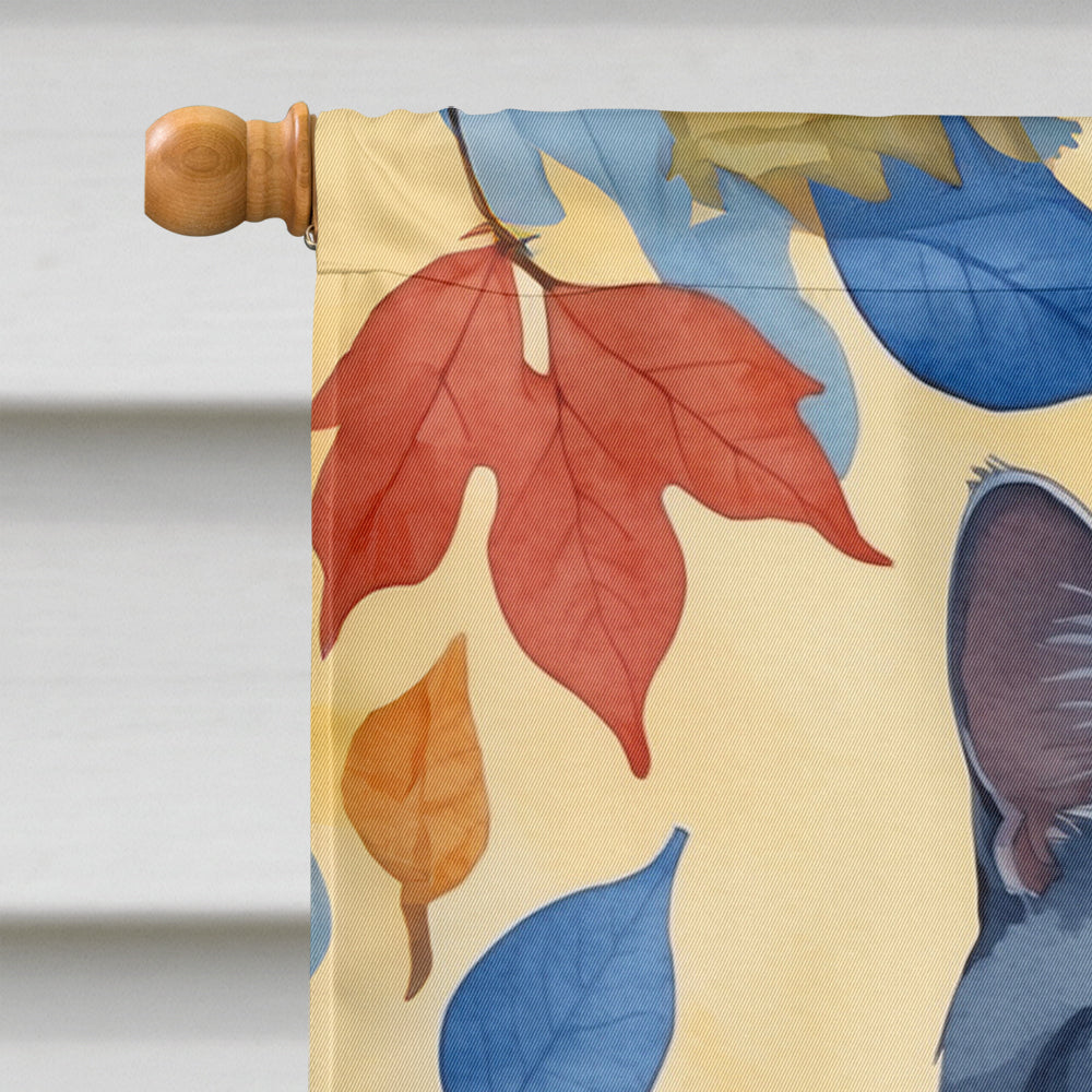 Chartreux Cat in Fall Leaves House Flag 28x40 Porch Sleeve Pole Decorative Outside Yard Banner Artwork Wall Hanging, Polyester