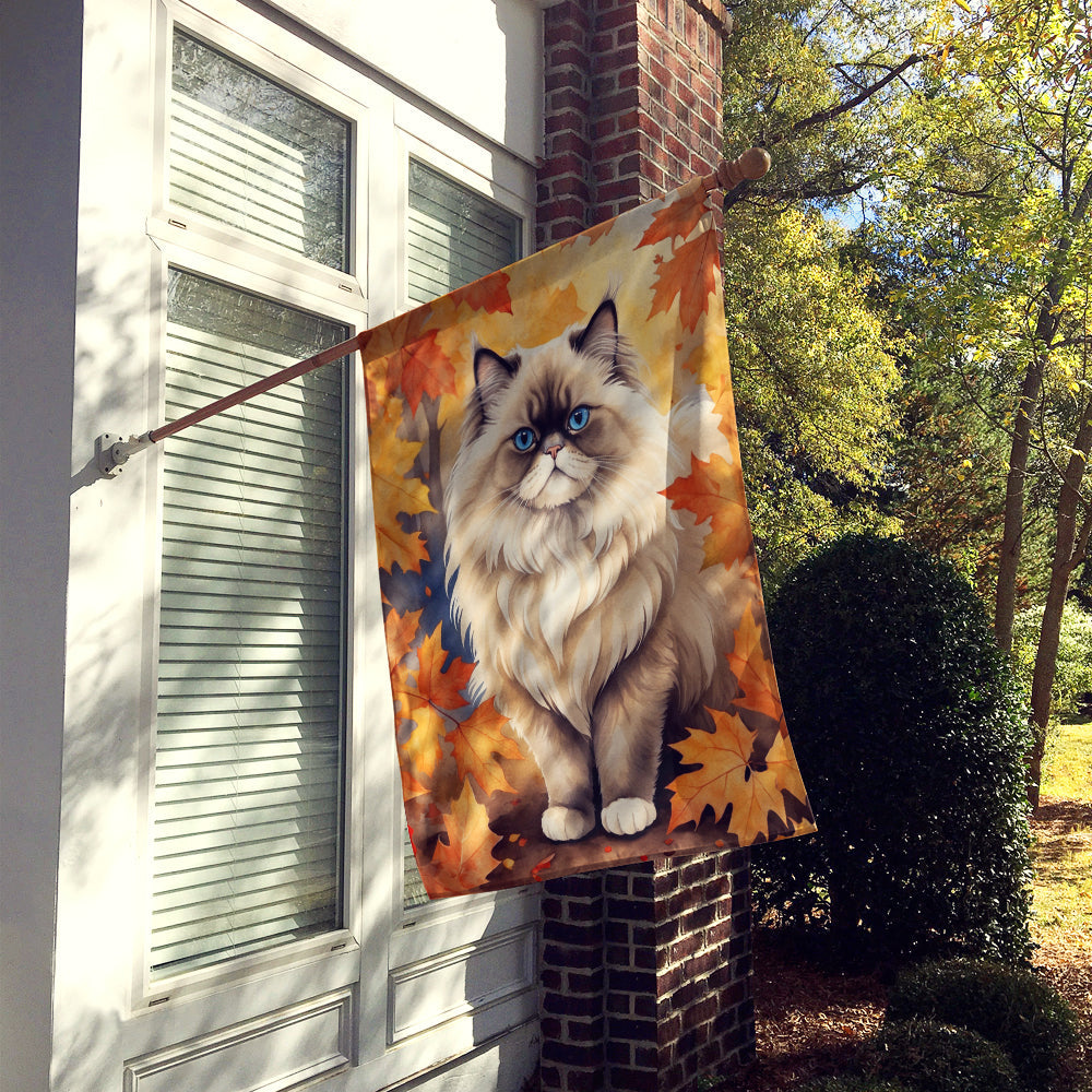 Colorpoint Longhair Cat in Fall Leaves House Flag 28x40 Porch Sleeve Pole Decorative Outside Yard Banner Artwork Wall Hanging, Polyester