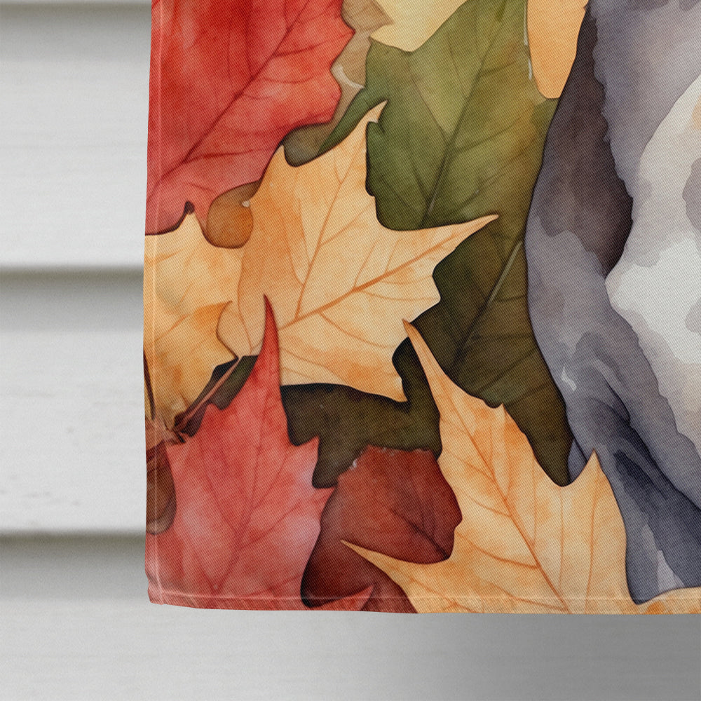 Cornish Rex Cat in Fall Leaves House Flag 28x40 Porch Sleeve Pole Decorative Outside Yard Banner Artwork Wall Hanging, Polyester