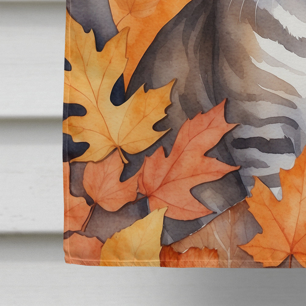 European Shorthair Cat in Fall Leaves House Flag 28x40 Porch Sleeve Pole Decorative Outside Yard Banner Artwork Wall Hanging, Polyester