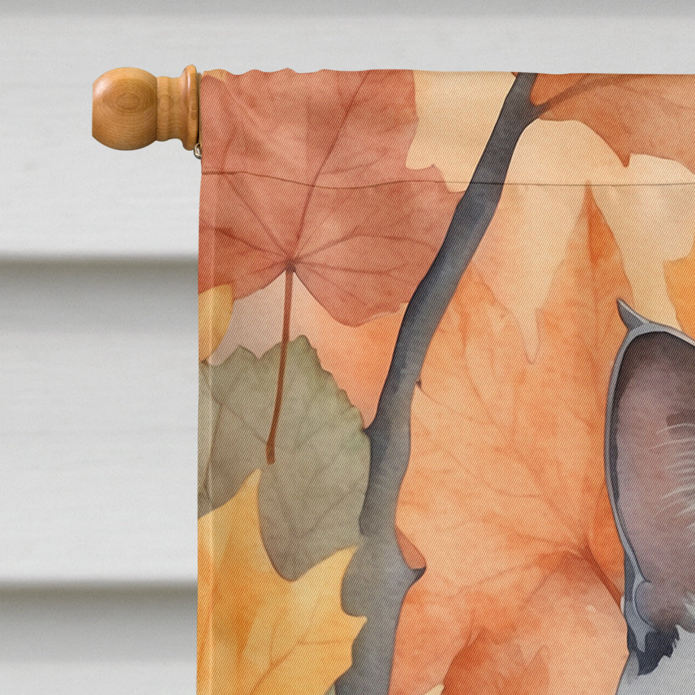 Korat Cat in Fall Leaves House Flag 28x40 Porch Sleeve Pole Decorative Outside Yard Banner Artwork Wall Hanging, Polyester
